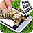 icon Pat a cat 1.1