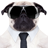 icon Post Dog 40.0.0