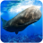 icon The Sperm Whale 1.0.1