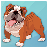 icon Pet Bulldog 4