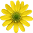 icon Puzzle Flowers 1.1