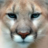 icon Cougar Slots 1.5