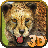 icon Cheetah Simulator 3D Attack 1.0.6
