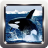 icon Killer Whale Wallpapers 2.2