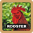 icon Rooster Soundboard 4.6.9