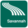 icon Savannah