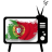 icon Portugal TV 13