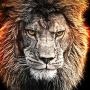 icon Safari Lion Revenge