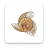 icon EthioDirect 3.2.6
