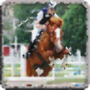 icon Horse Jump Show
