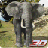 icon Elephant Hunter 2015 1.4