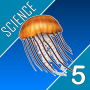 icon Science Quest 5