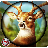 icon Deer Hunting Wild Animals 1.4