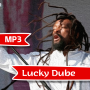 icon Lucky Dube Mp3 All Songs