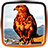 icon Hawks Live Wallpaper 1.2