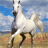 icon Horse Jigsaw Puzzles 2.9.27