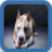 icon Puppy Pitbull Wallpaper 1.1