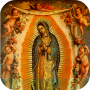 icon La Hermosa Guadalupe