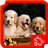 icon Dogs Puzzles 1.4.1
