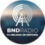 icon BND Radio