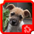 icon Puppies Puzzles 1.4.1