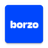 icon Borzo 2.65.1