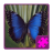 icon Butterfly Puzzle 1.00