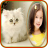 icon photo frames cat pic frames 1.1