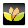 icon Almondo Pro