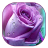 icon Purple Rose 1.3