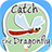 icon catch the dragonfly 1.0.2