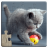 icon Cat Puzzles 28.3