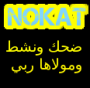 icon Nokat