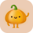 icon VPN Pumpkin 1.5.700