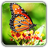 icon Butterfly wallpapers LockScreen 1.0.3