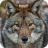 icon Wolf Puzzle 3.1