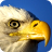 icon Eagle Puzzle 3.1