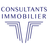 icon Consultants Immobilier 1.1
