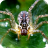 icon Spider Puzzle 3.1