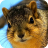 icon Squirrel Puzzle 3.1