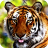 icon Tigers Puzzle 3.1
