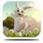 icon Day rabbit Live Wallpaper 4.0