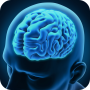 icon Cerebrum : Brain Training Game