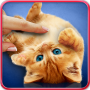 icon Purring cats, live wallpaper