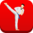 icon Taekwondo Workout 1.08