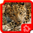 icon Big Cats Puzzles 1.4.1