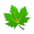 icon Greenify 3.6.2
