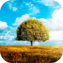 icon Awesome-Land 2 live wallpaper : Plant a Tree !!