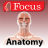 icon com.focusmedica.jaaenglish 1.9