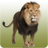 icon Lion sounds 1.17